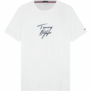 Tommy Hilfiger CN SS TEE LOGO  S - Pánske tričko