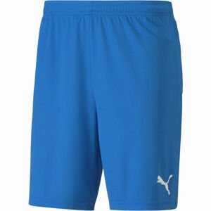 Puma TEAM GOAL 23 KNIT SHORTS Pánske šortky, modrá, veľkosť