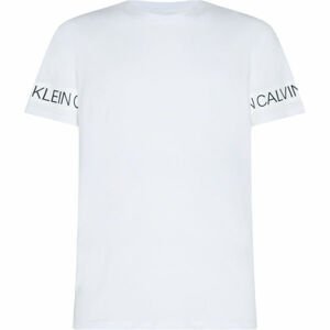 Calvin Klein SHORT SLEEVE T-SHIRT  L - Pánske tričko