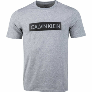 Calvin Klein SHORT SLEEVE T-SHIRT  M - Pánske tričko