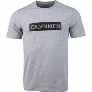 Calvin Klein SHORT SLEEVE T-SHIRT  L - Pánske tričko
