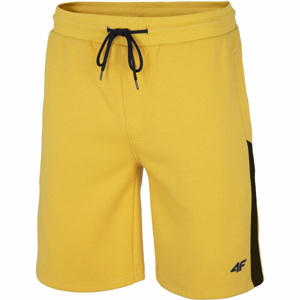 4F MEN´S SHORTS  L - Pánske kraťasy