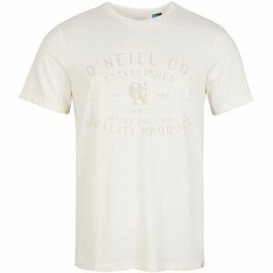 O'Neill LM ESTABLISHED T-SHIRT Pánske tričko, biela, veľkosť L
