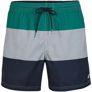 O'Neill PM HORIZON SHORTS  L - Pánske šortky do vody