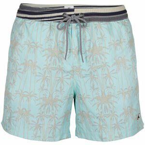 O'Neill PM PALM SHORTS  L - Pánske šortky do vody