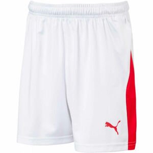 Puma LIGA SHORTS WITH BRIEF JR Chlapčenské futbalové šortky, biela, veľkosť 116