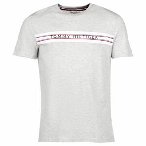 Tommy Hilfiger CLASSIC-CN SS TEE PRINT Pánske tričko, sivá, veľkosť