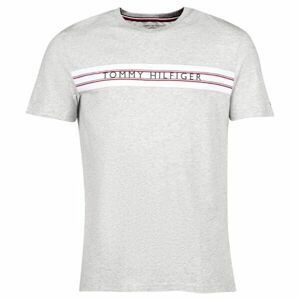 Tommy Hilfiger CLASSIC-CN SS TEE PRINT Pánske tričko, sivá, veľkosť XL