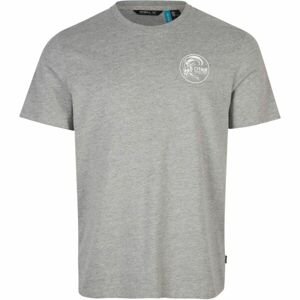 O'Neill CIRCLE SURFER T-SHIRT Pánske tričko, sivá, veľkosť L