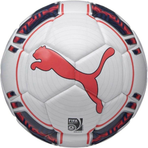 Puma EVOPOWER 1 FUTSAL biela 4 - Futbalová lopta