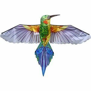 Drak – fialový kolibrík
