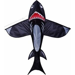Šarkan – žralok sivý