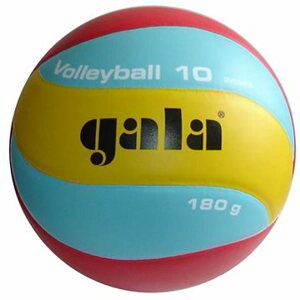 Gala Volleyball 10 BV 5541 S – 190 g