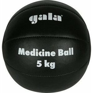 GALA - Medicinbal kožený, 5 kg