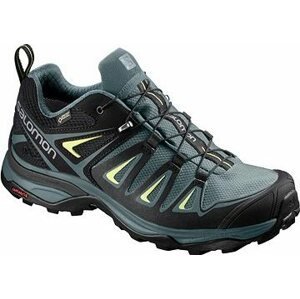 Salomon X Ultra 3 GTX W Hiking Shoes Artic/Darkest Spru EU 36/215 mm