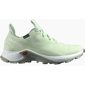 Salomon Alphacross 3 GTX W Spray/Wht/Wroug