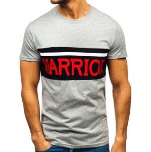 Men's T-shirt with print "Warrior" 100701 - grey,