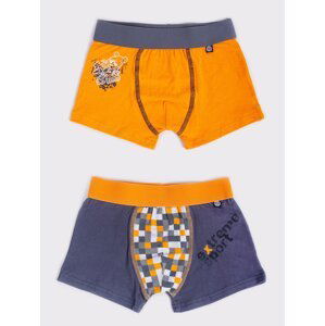 Yoclub Kids's 2Pack Boy's Boxer Briefs BMB-0014C-AA30