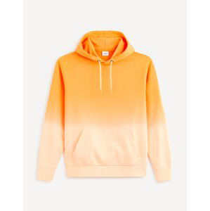 Celio Dearc Hoodie - Men