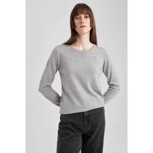 DEFACTO Regular Fit Crew Neck Pullover