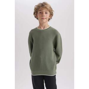 DEFACTO Boy Regular Fit Crew Neck Pullover