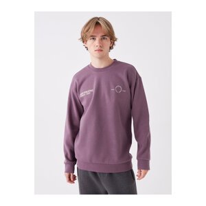 LC Waikiki Men's Crew Neck Long Sleeve Printed Sweatshirt.