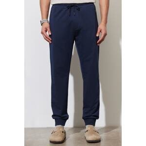 ALTINYILDIZ CLASSICS Men's Navy Blue Standard Fit Regular Cut Sweatpants.