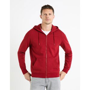 Celio Fethree Hoodie - Men