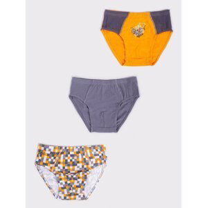 Yoclub Kids's 3Pack Boys' Briefs BMC-0033C-AA30-002