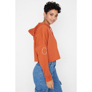 Trendyol Tile Hooded Thick Crop Knitted Sweatshirt