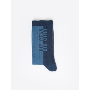 Big Star Man's Standard Socks 210472  401