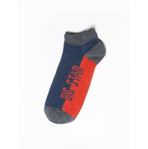 Big Star Man's Footlets Socks 210462  903