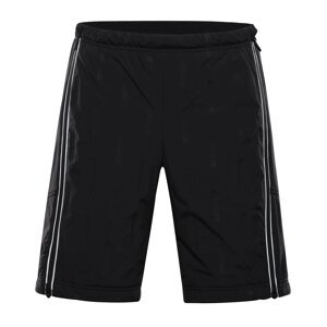Men's shorts with dwr finish ALPINE PRO WERM black