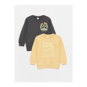 LC Waikiki Crew Neck Long Sleeve Printed Baby Boy Sweatshirt 2 Pack