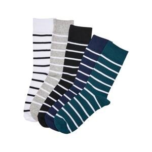 Small Stripe Socks 5-Pack Winter Color