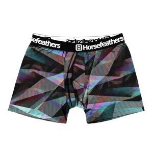 Men's boxers Horsefeathers Sidney Glitch