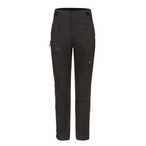 Men's trousers ALPINE PRO FOIK black