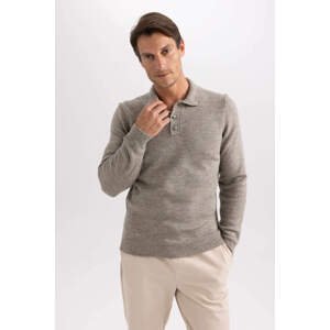 DEFACTO Standard Fit Polo Collar Pullover