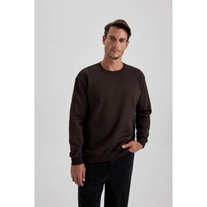 DEFACTO Oversize Fit Sweatshirt