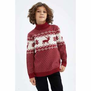 DEFACTO Boy Regular Fit Turtleneck Pullover