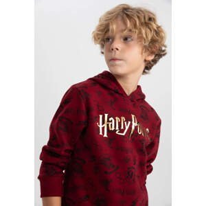 DEFACTO Regular Fit Harry Potter Licensed Hooded Sweatshirt