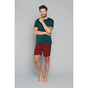 Men's pyjamas Narwik, short sleeves, short legs - green/print