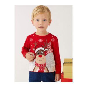 LC Waikiki Crew Neck Long Sleeve New Year Themed Baby Boy Knitwear Sweater