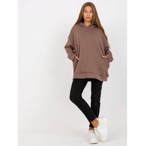 Basic brown sweatshirt with pockets