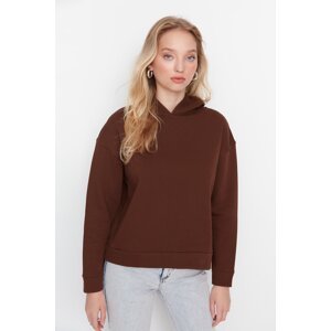 Trendyol Brown Regular/Normal Wear Basic with a Hooded Fleece Inside Knitted Sweatshirt