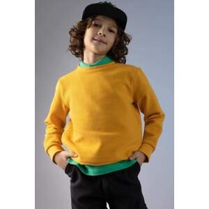 DEFACTO Boy Regular Fit Crew Neck Reversible Sweatshirt
