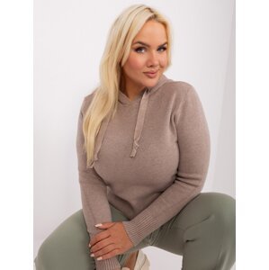 Women's navy beige plus size sweater with viscose