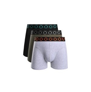 Boxers VUCH Classic Fredy