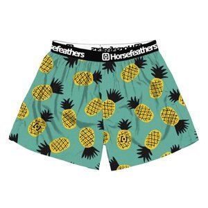 Men's shorts Horsefeathers Frazier pineapple