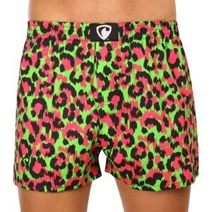 Men's shorts Represent exclusive Ali carnival cheetah